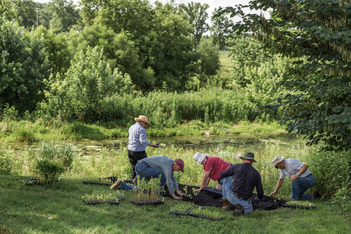 a group of seniors garden outside