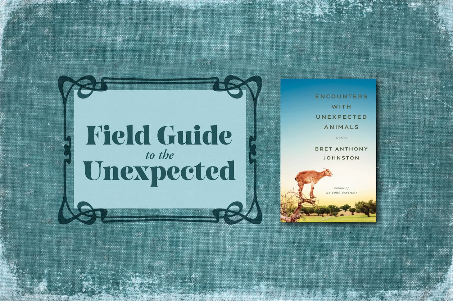 Field Guide to the Unexpected event flyer