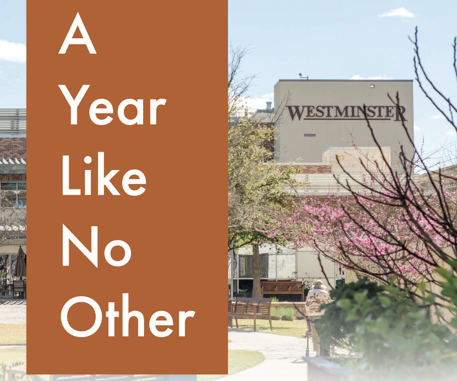 A Year Like No Other at Westminster